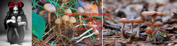 дурь Костерёво