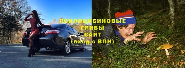 дмт Корсаков