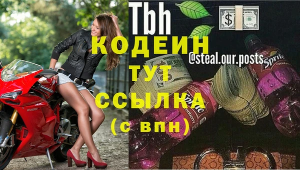 дмт Корсаков