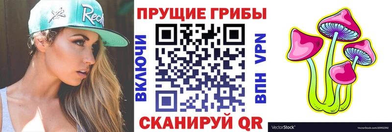 Купить закладки  Долгопрудный  Псилоцибиновые грибы ЛСД 